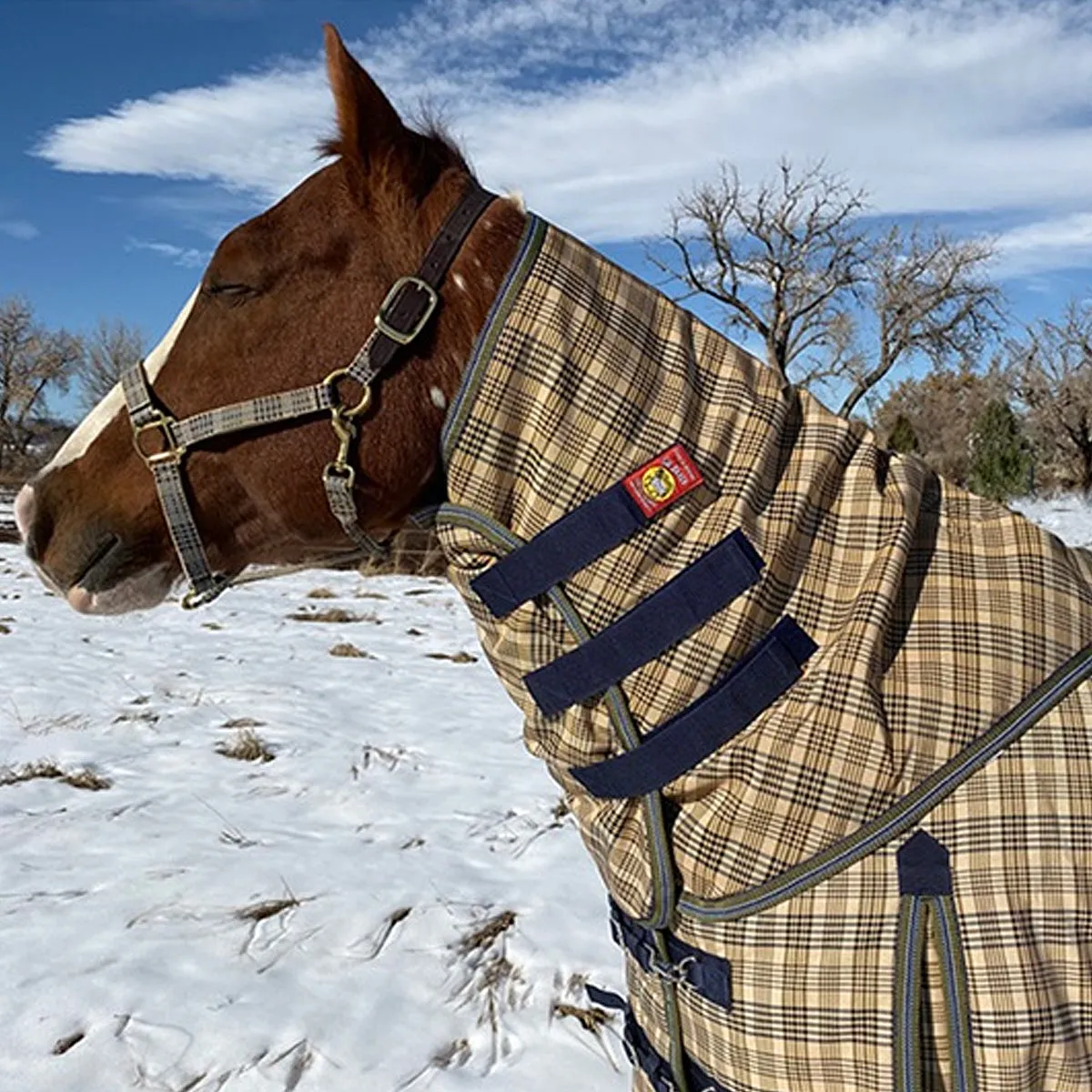 5/A Baker Neck Cover 200 Gram For Turnout Blanket