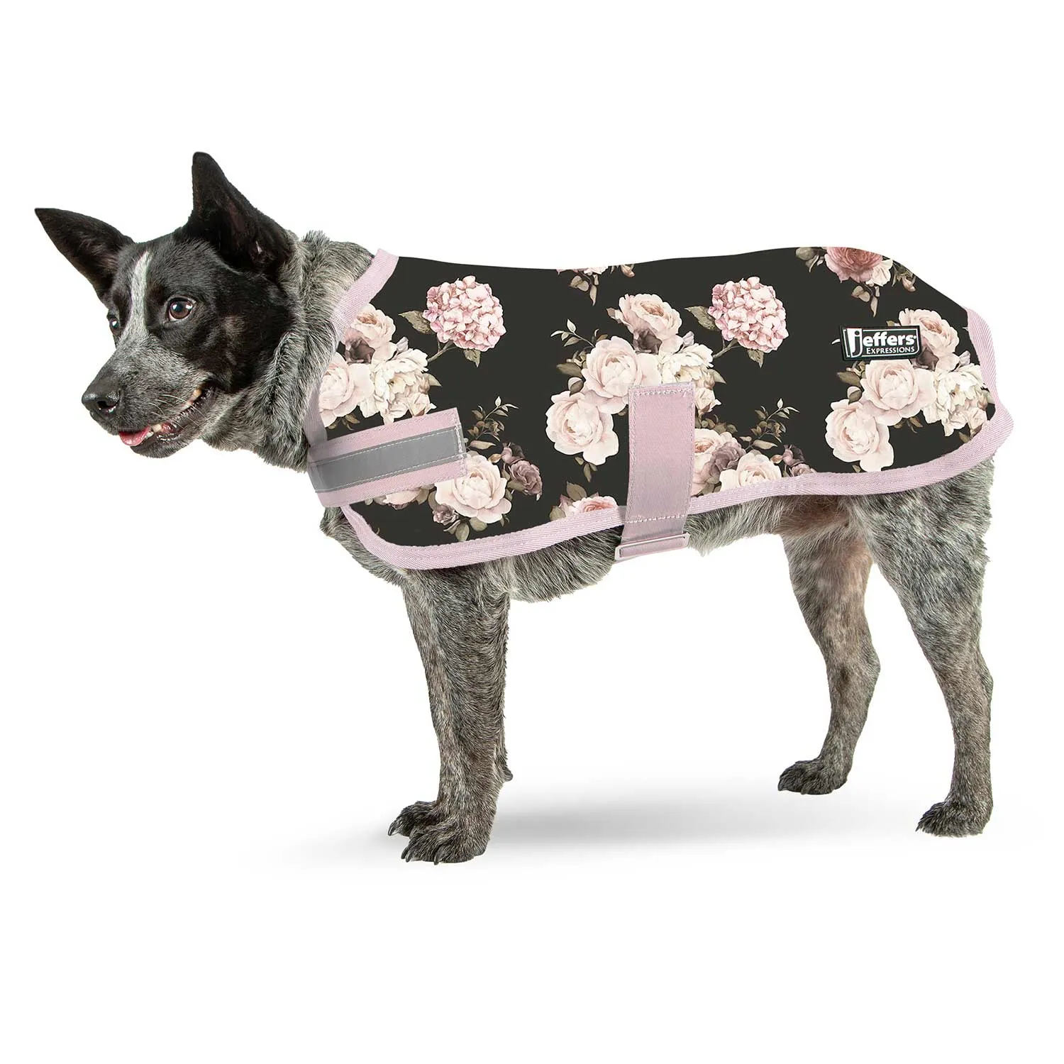 PRE-SALE! Jeffers Expression Dog Coat, Rose Garden