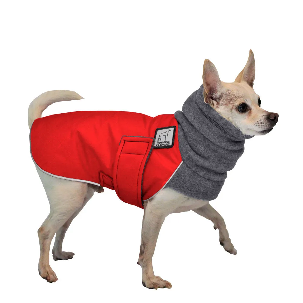 ReCoat ♻️ Chihuahua Winter Coat with Harness Opening