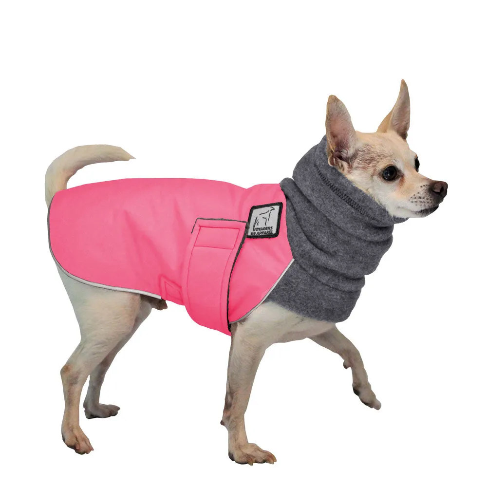 ReCoat ♻️ Chihuahua Winter Coat with Harness Opening