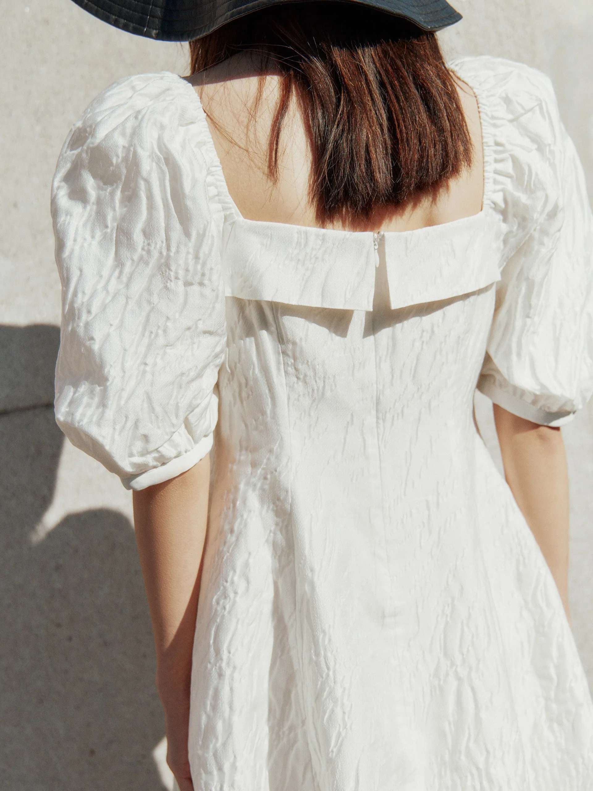 Ruffle Neck Puff Sleeve Dress